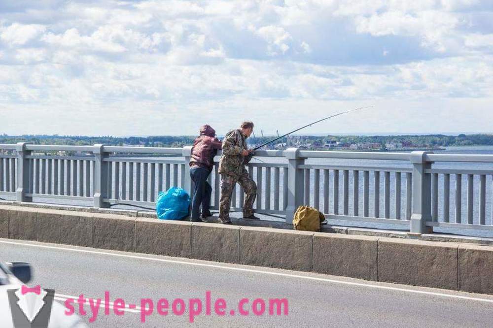 Ribolov u Saratov na Volgi: fotografije i mišljenja