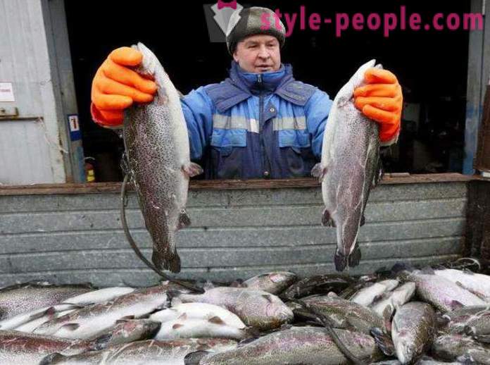 Ribolov u Khakassia Savjeti ribolovce