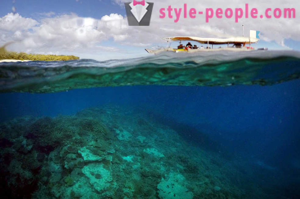 Veliki koraljni greben Fotografije
