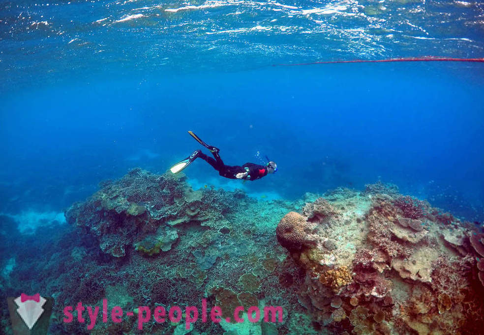 Veliki koraljni greben Fotografije