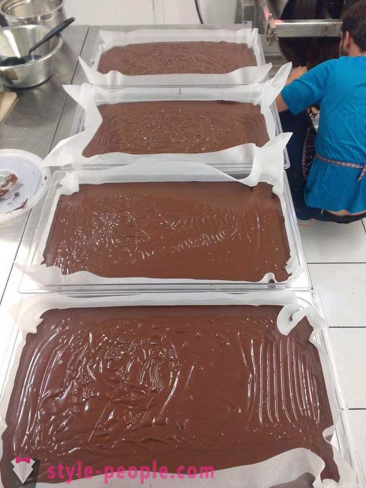 Proces uzgoja i proizvodnje čokolade