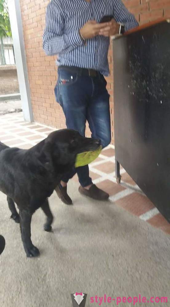Pas je naučio da kupi hranu za vlastitu valutu
