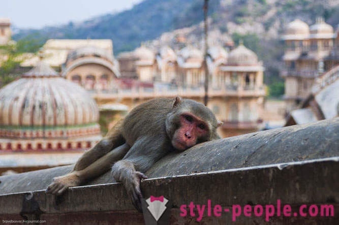 Putovanje u Jaipur Indijanaca