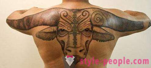 Tattoo „Bull” - vrijednost crtež na tijelu