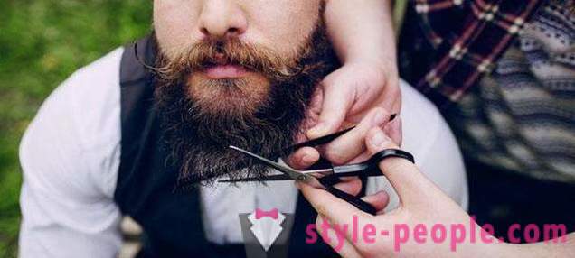 Muška brada elegantna: vrste, osobito za njegu