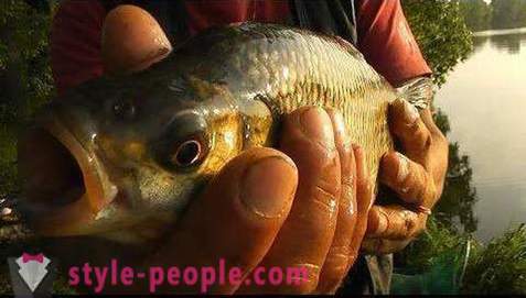 Ribolov na Pakhra: fotografije i mišljenja. ribolov spotova
