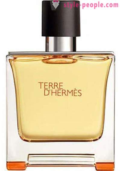 Toaletne vode Terre d „Hermes: recenzije