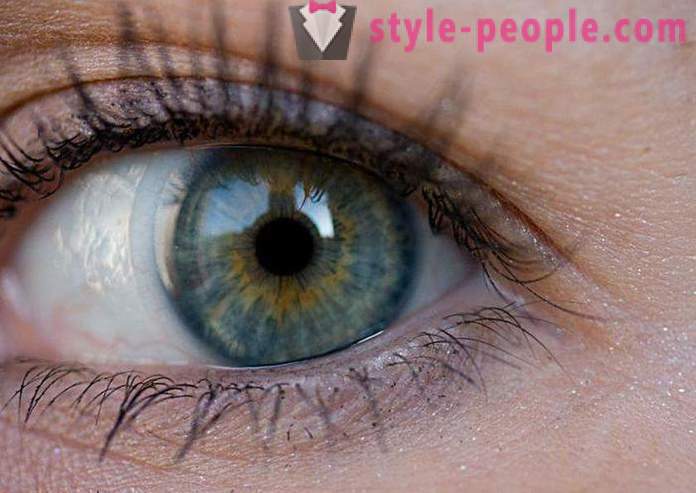 Močvara boja očiju. Ono što određuje boju ljudskom oku?