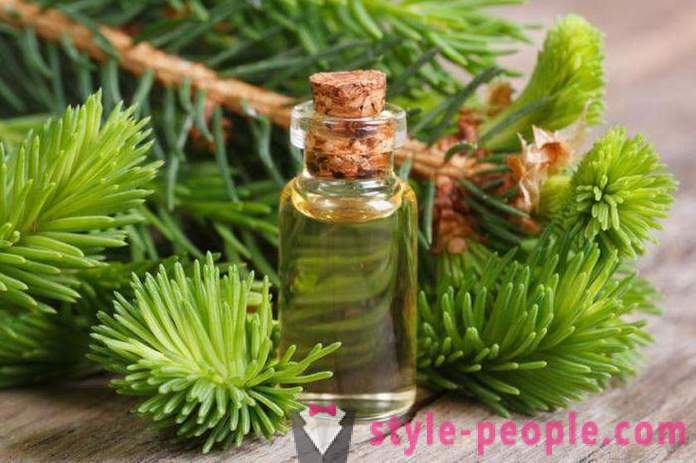 Cedar ulje: primjena, korisna svojstva