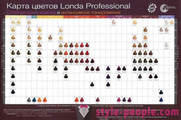 Slikarstvo „Londa Professional”: paleta boja, mišljenja