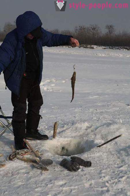 Manić ribolov u zimi na zherlitsy. Hvatanje manić u zimskom trolling