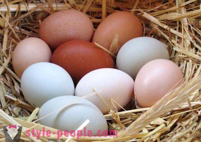 Jaje dijeta: opis, prednosti i mane